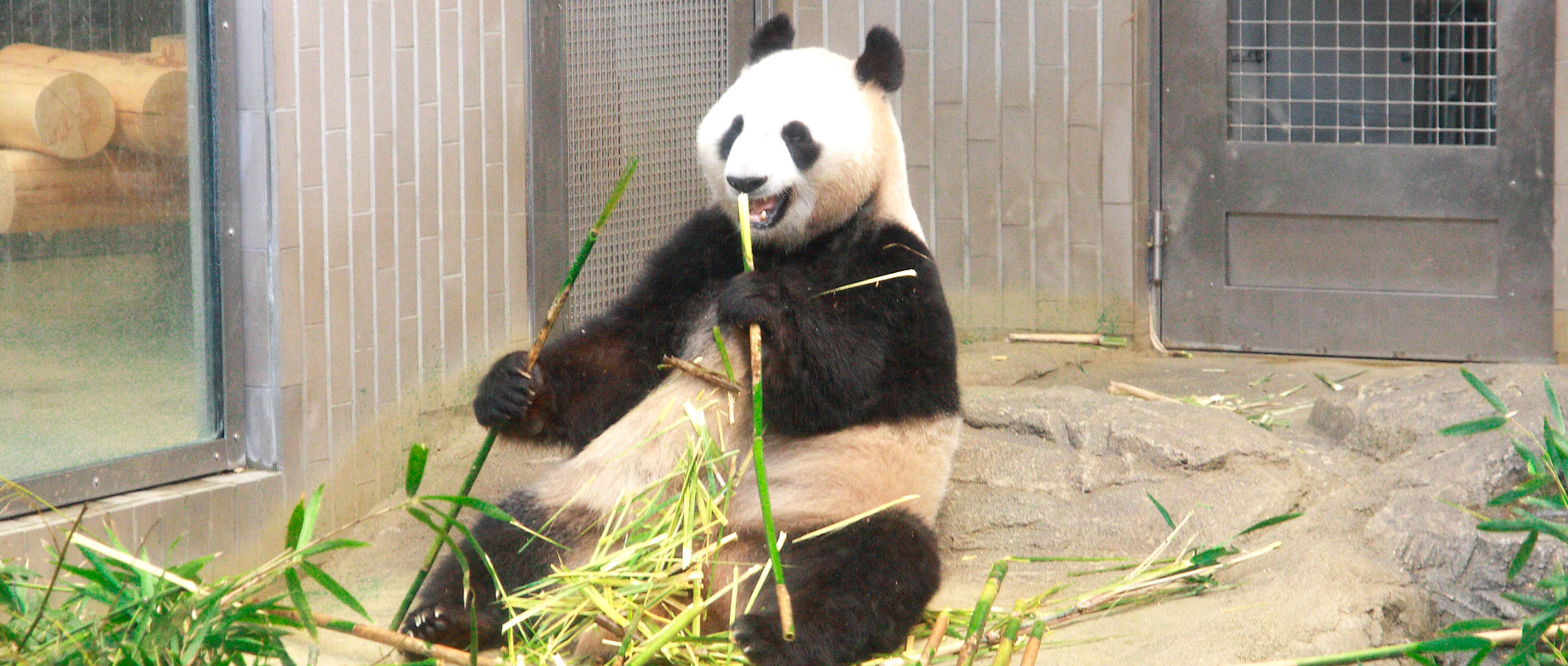 上野動物園